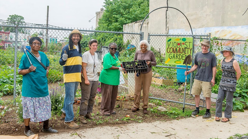 Community garden