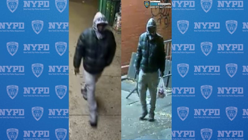 A man is wanted for severely injuring a cat in Manhattan on Dec. 4, 2024.