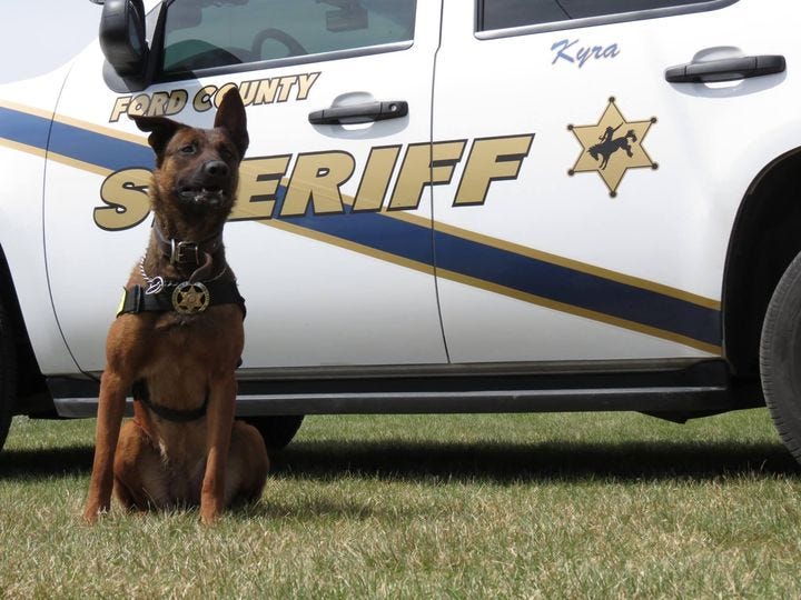 Police dog Kyra
