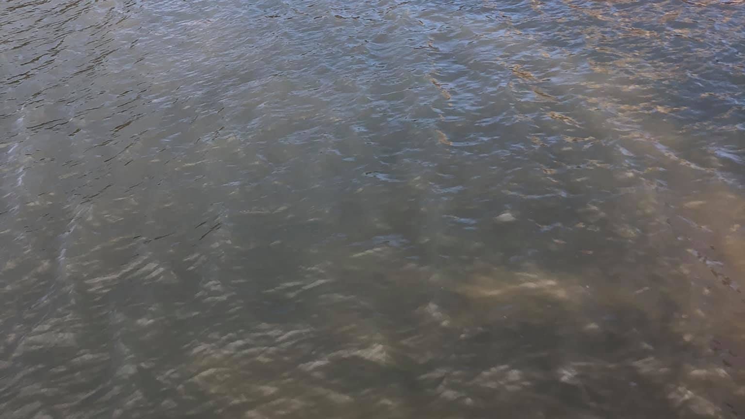 Spill from U.S. Steel prompts swimming bans, closure of water treatment plant in Northwest Indiana