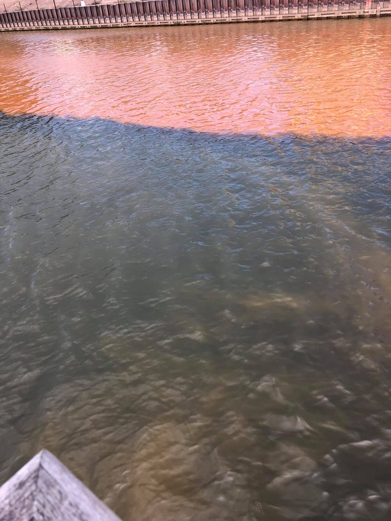The release of a substance into a Northwest Indiana waterway has prompted swimming bans and the closing of a water treatment plant.