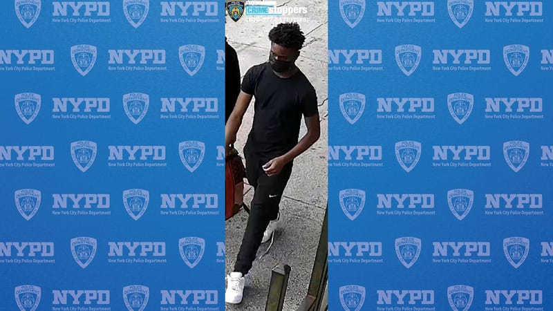 Police are searching for a suspect after a shooter fired shots, striking a driver, who then crashed into a woman on the street Monday afternoon