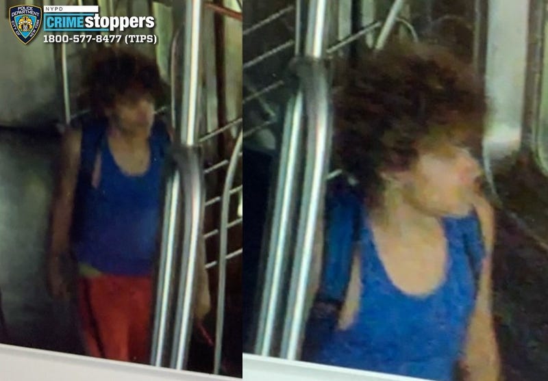 A male suspect is being sought by police