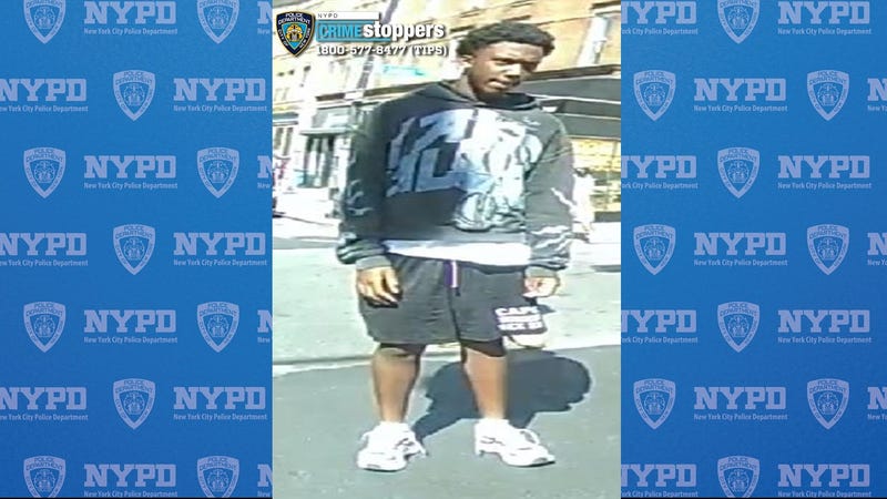 Police are searching for a suspect in the shooting in Crown Heights on Sept. 2