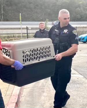 San Rafael Police help rescue Ivy.