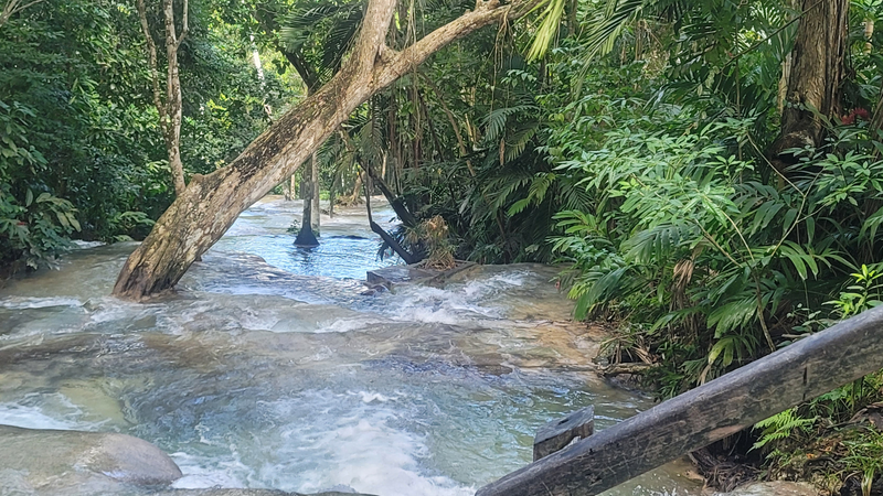 Bill Tafrow's Adventures at Sandals® Dunn's River in Jamaica