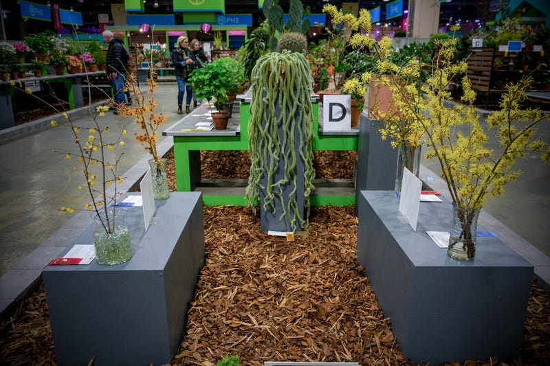 Philadelphia Flower Show