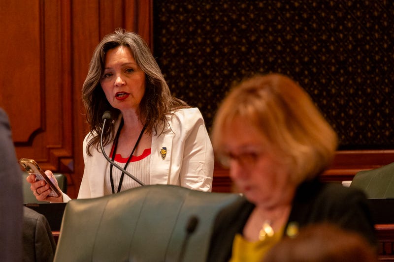 Rep. Nicolle Grasse, D-Arlington Heights, speaks during debate over a bill legalizing medically assisted suicide. She looks at bill sponsor Rep. Robyn Gabel, D-Evanston, pictured in the foreground.