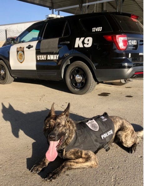 Sacramento police dog requires emergency surgery after being stabbed during arrest.