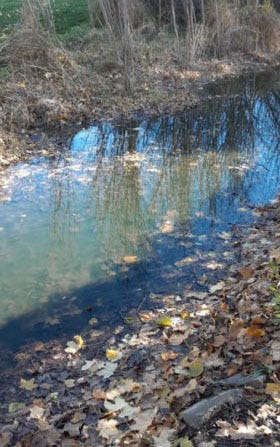 Cranberry Creek