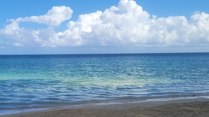 Bill Tafrow's Adventures at Sandals® Dunn's River in Jamaica