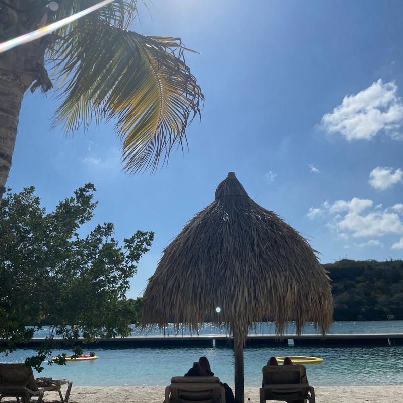 Coop's Adventures at Sandals® Royal Curaçao