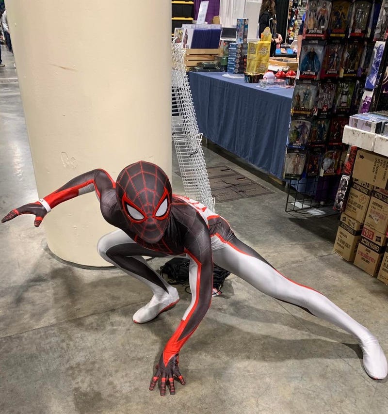 Spider-Fan