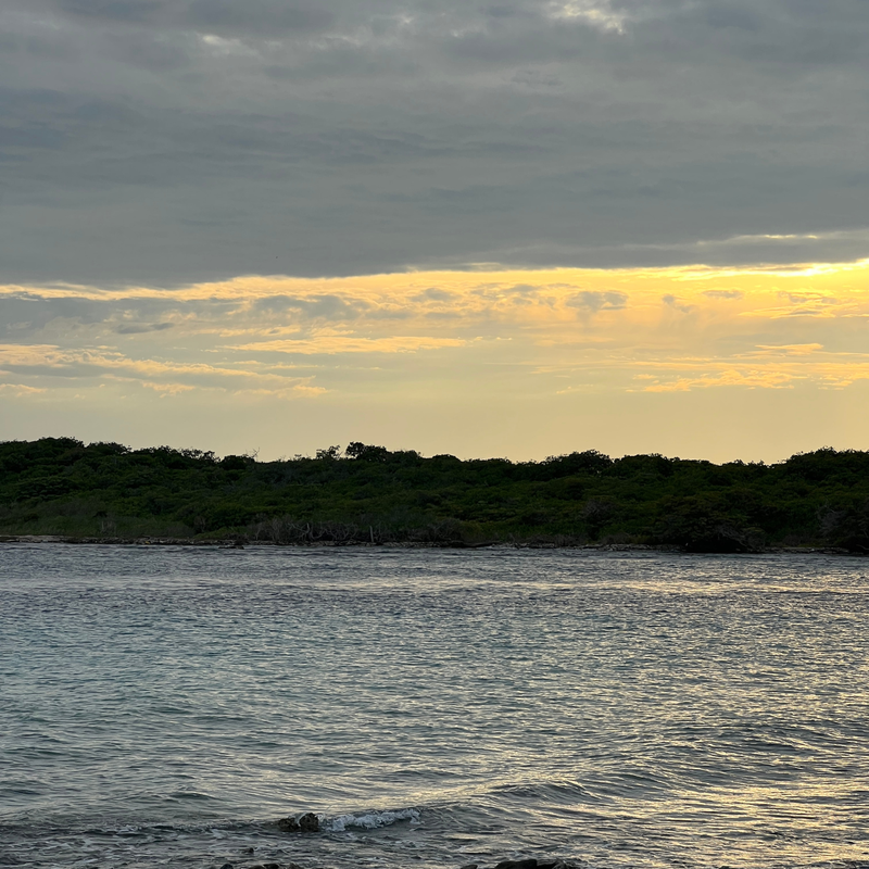 Coop's vacation #LIVEFromSandals at Sandals® Royal Curaçao