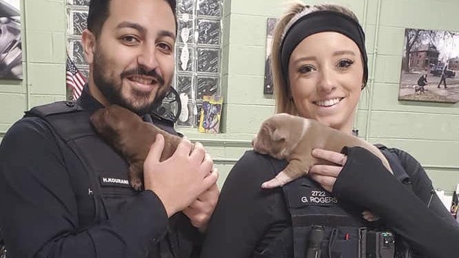 DPD officers rescue puppies hiding in mattress in abandoned Detroit home [PHOTOS]