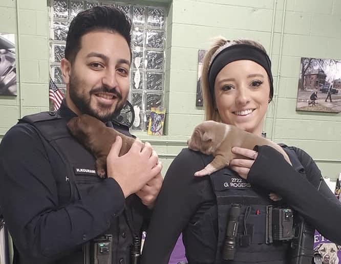 Detroit police officers rescue pit bull puppies