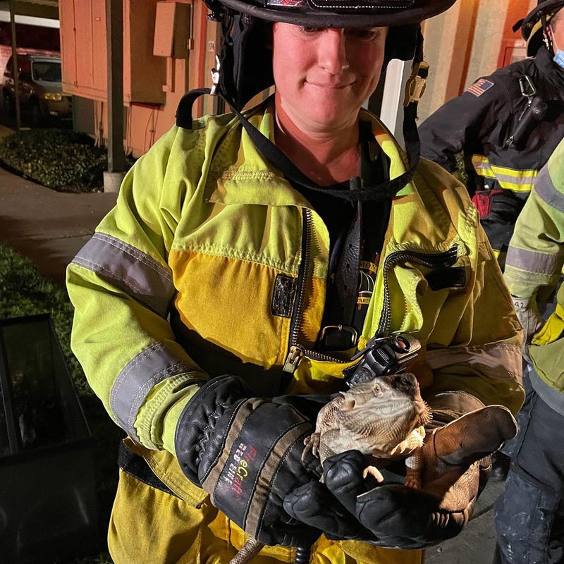 Ten people, including two children, have been displaced after an apartment fire ignited in Fremont on Saturday.