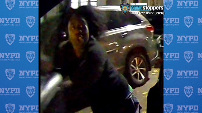 Police are searching for a woman seen on dashcam video