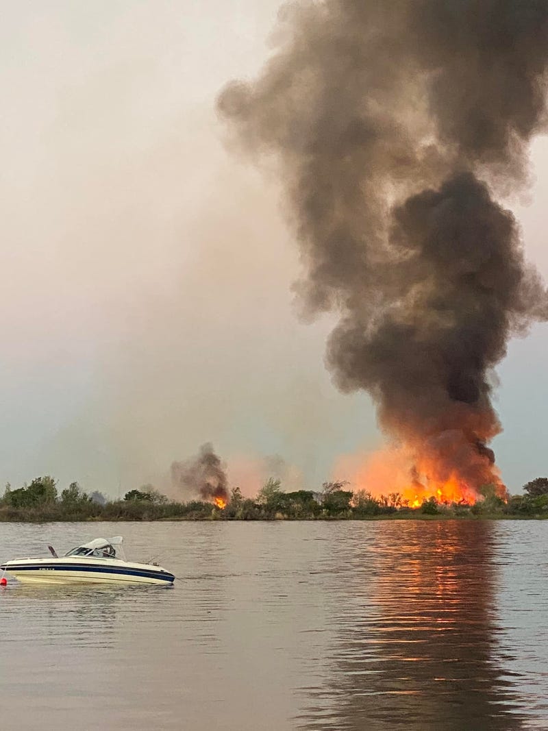 A vegetation fire has ignited on an island near the East Bay, sending large plumes of black smoke into the sky.