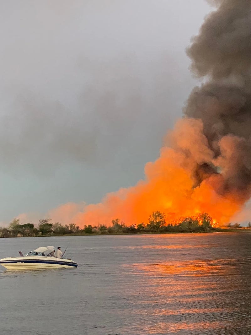 A vegetation fire has ignited on an island near the East Bay, sending large plumes of black smoke into the sky.