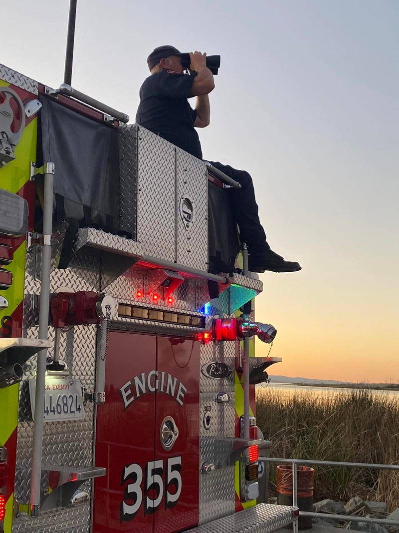 A vegetation fire has ignited on an island near the East Bay, sending large plumes of black smoke into the sky.