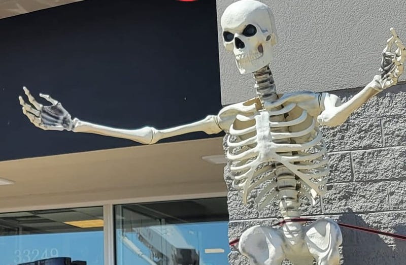 Have you seen this Halloween display skeleton? It's white, over 10 feet tall and hard to miss, but shop owners in Metro Detroit are still searching for the massive decoration after it was stolen from their property this week.