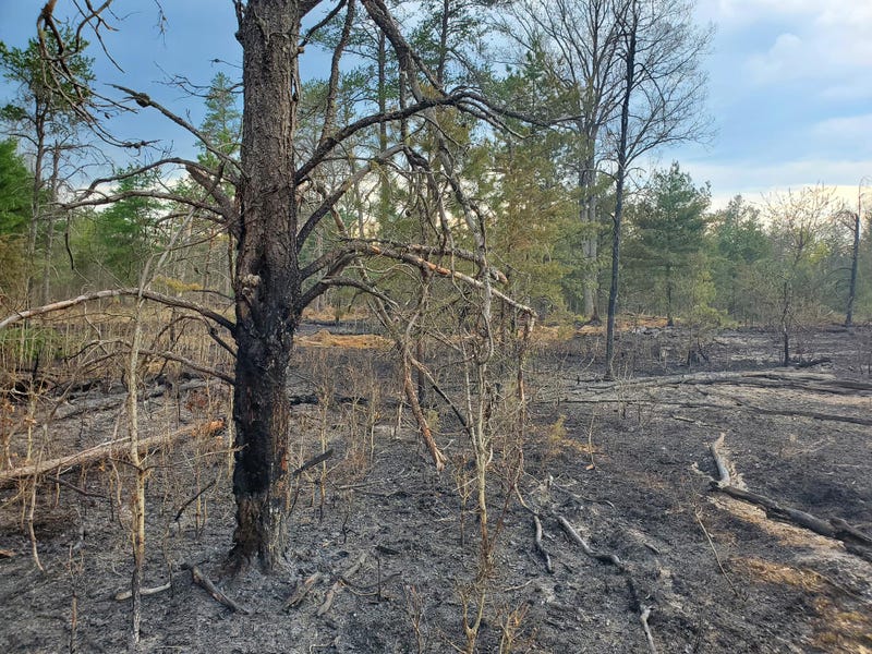 State officials are begging Michiganders to check weather conditions prior to lighting fires in northern Michigan as extreme risk for wildfires climbs over the weekend.