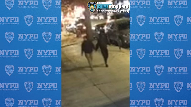 The suspects attacked and robbed the woman before fleeing on foot, police said
