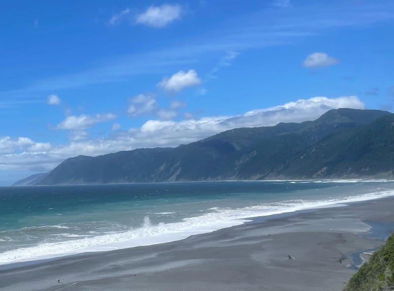 A hiker has died in Northern California after being swept into the ocean by a wave.