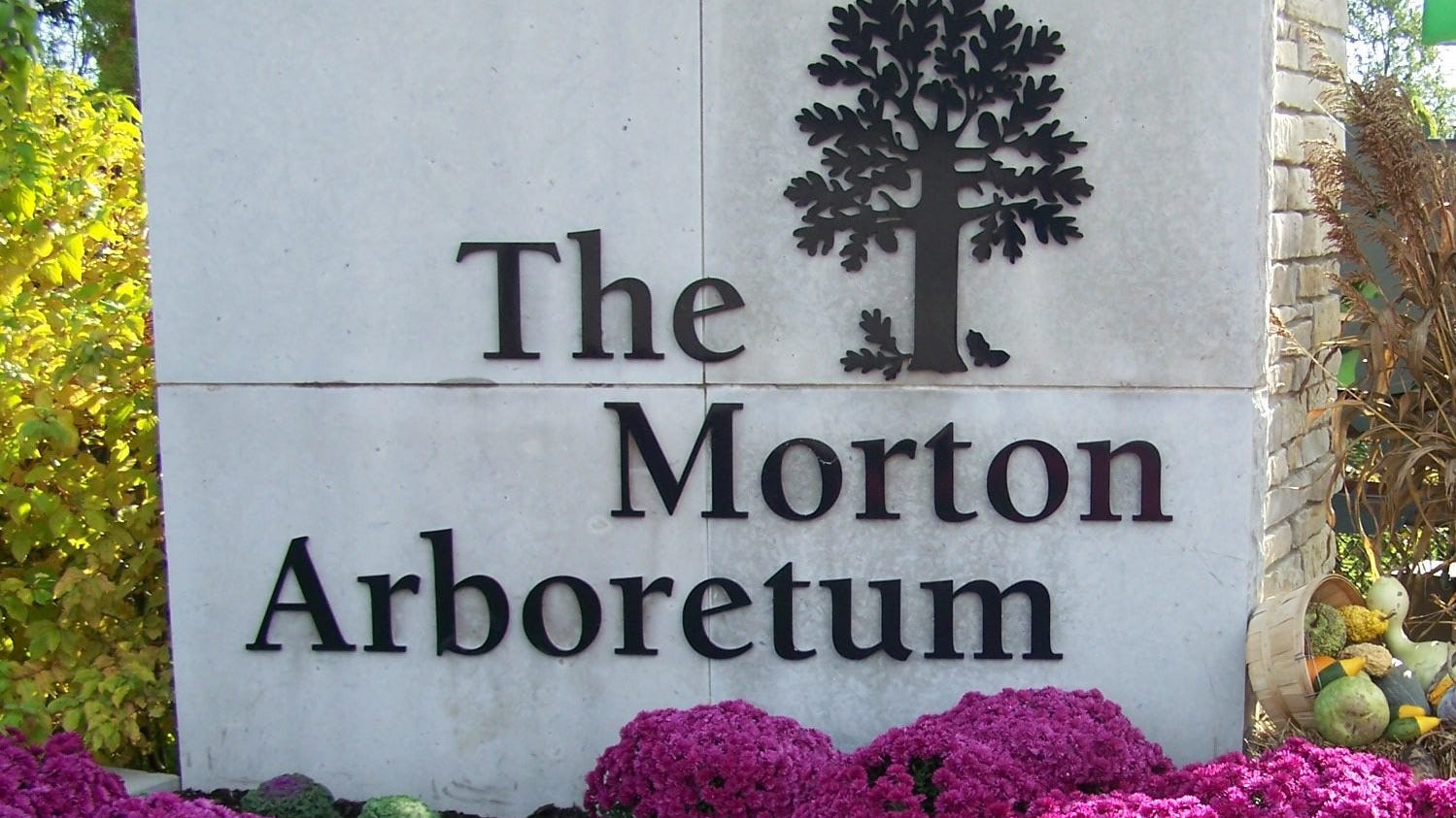 'Human+Nature': New outdoor art installation at Morton Arboretum opens April 9