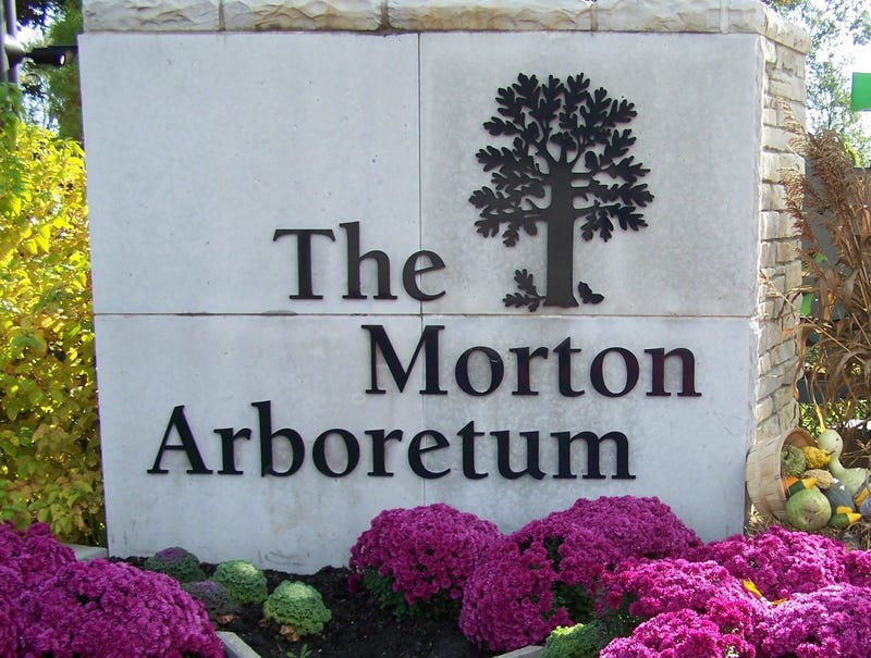 The Morton Arboretum
