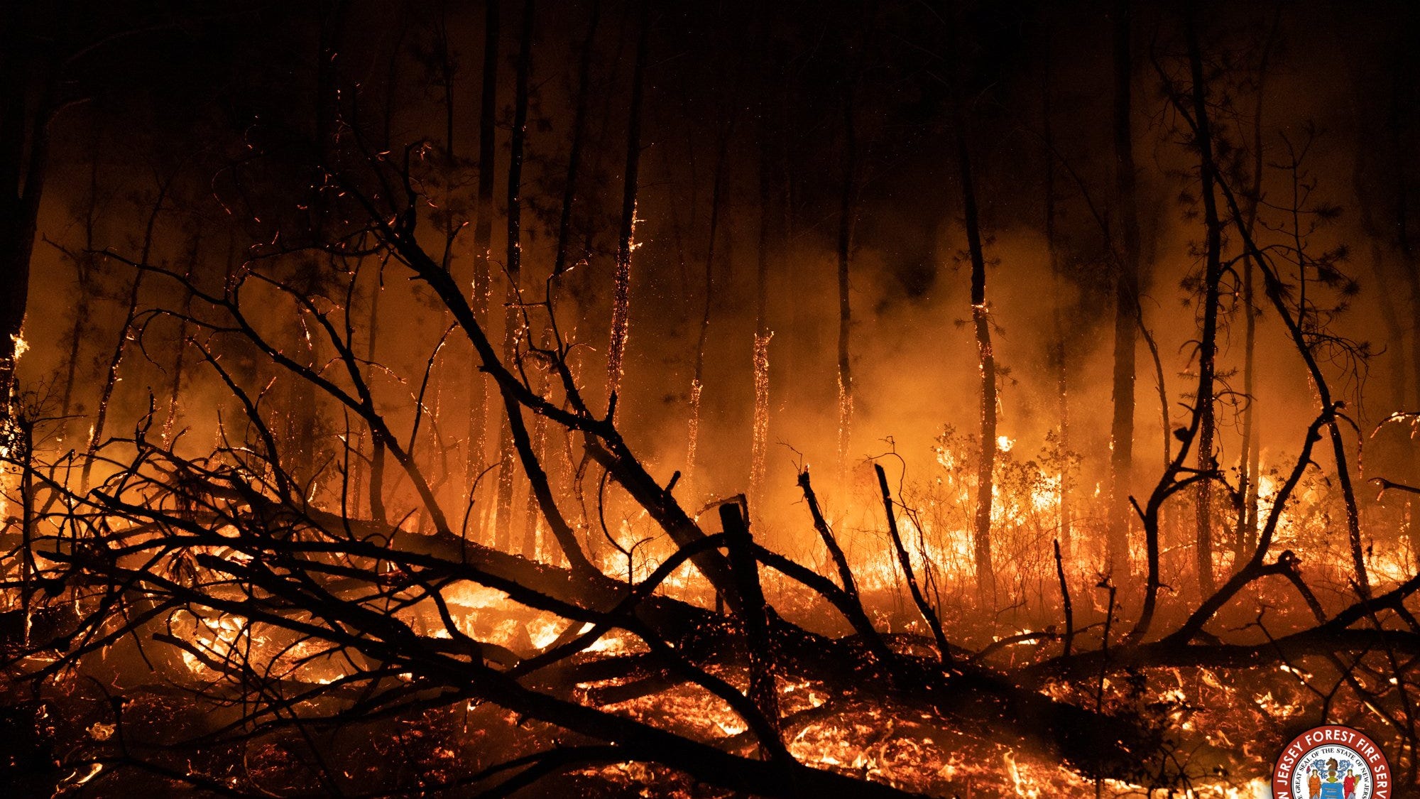 NJ Forest Fire Service has 315-acre wildfire in Brendan T. Byrne State Forest 100% contained