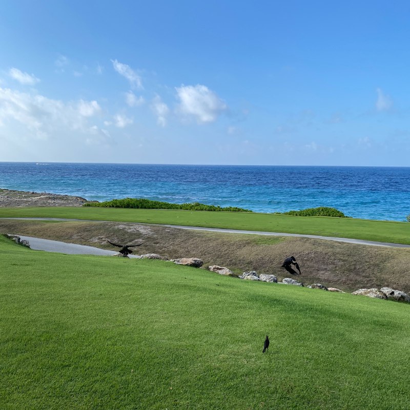 Coop's Adventures at Sandals® Royal Curaçao