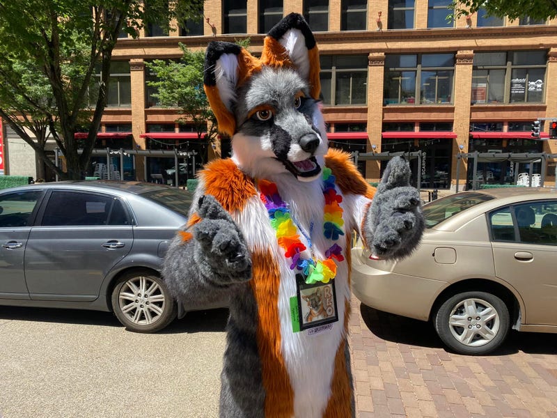 Furries return to Pittsburgh
