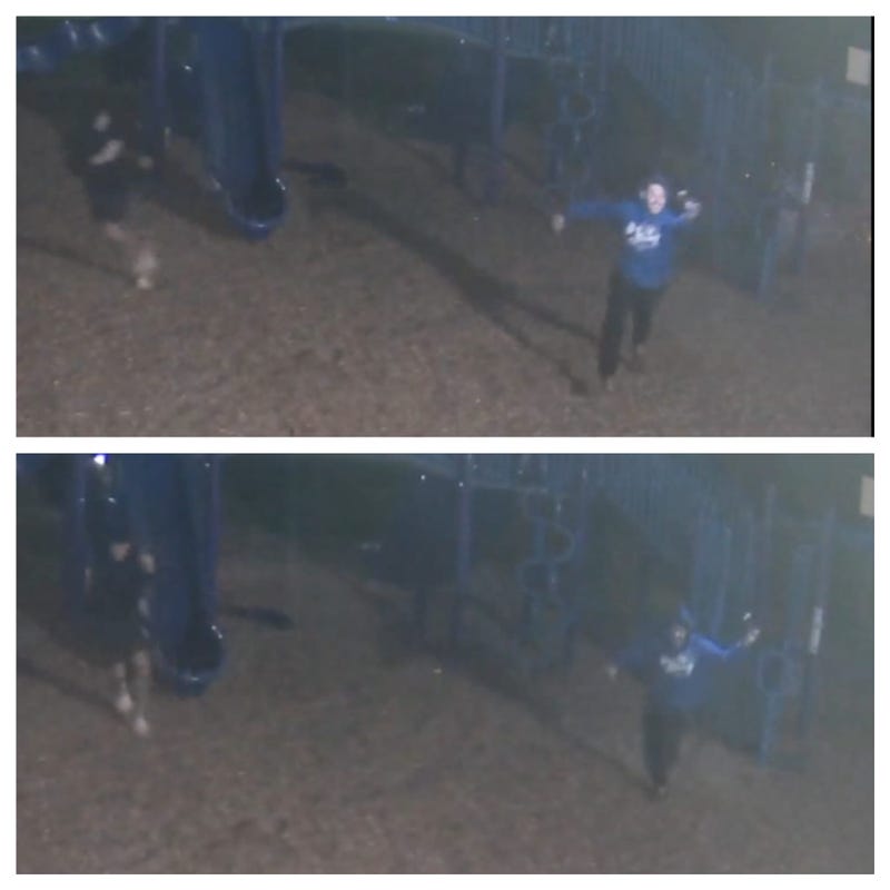 Police are searching for a pair of vandals after they allegedly destroyed playground equipment at a Clinton Twp. elementary school over the 4th of July weekend.