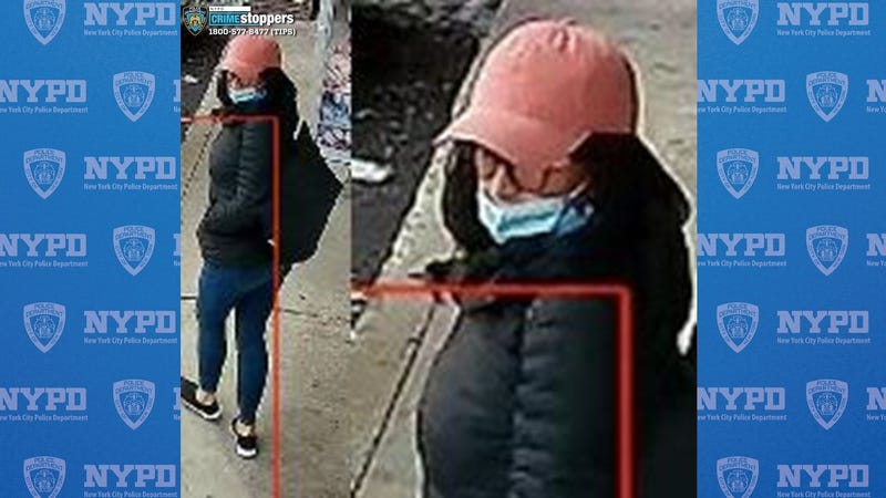 One of three suspects wanted for stealing $20,000 from a vehicle on Staten Island in September.