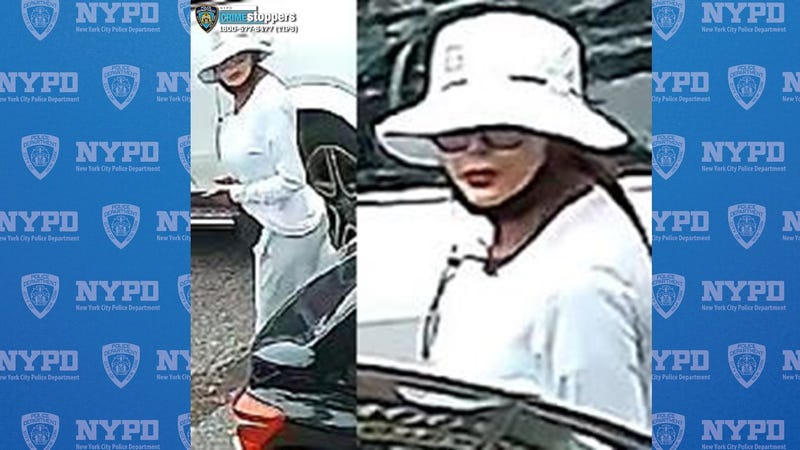One of three suspects wanted for stealing $20,000 from a vehicle on Staten Island in September.