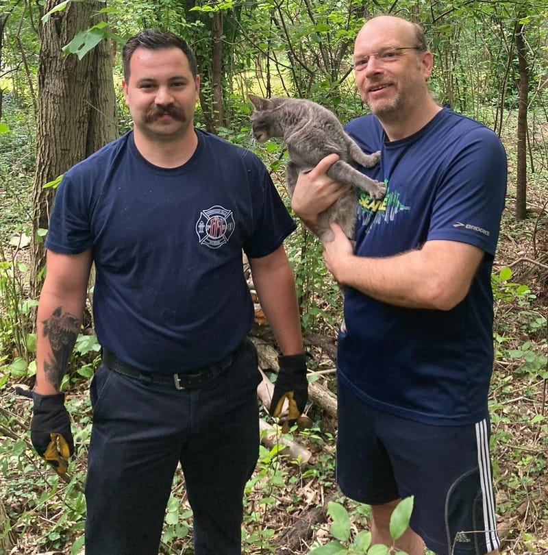 No rescue is too big or too small for Metro Detroit firefighters, even if the rescue is four-legged, covered in fur and trapped almost 35 feet up in a tree.