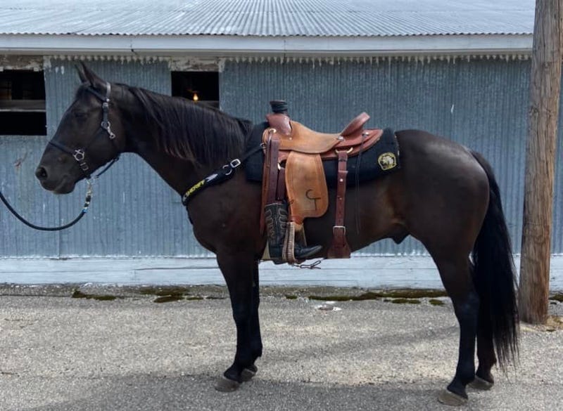 Officer Ringo will be retired from service, the sheriff's department announced on Friday