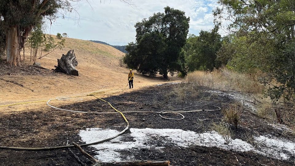 Suspected arsonist detained after 10 fires are found in South Bay hills