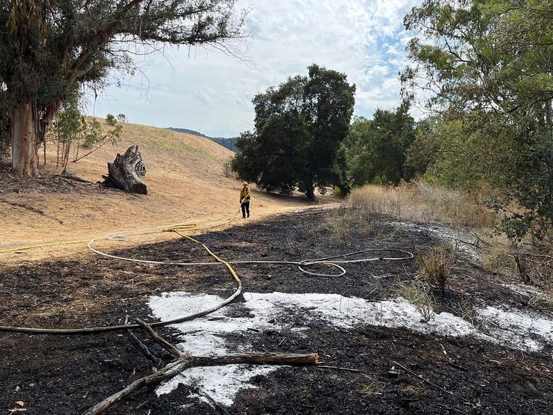 A suspected arsonist has been detained in the South Bay after 10 fires were found in the Los Altos Hills. 