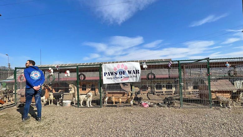 Paws of War in Ukraine