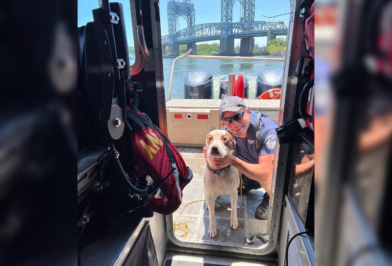 @FDNY/Instagram