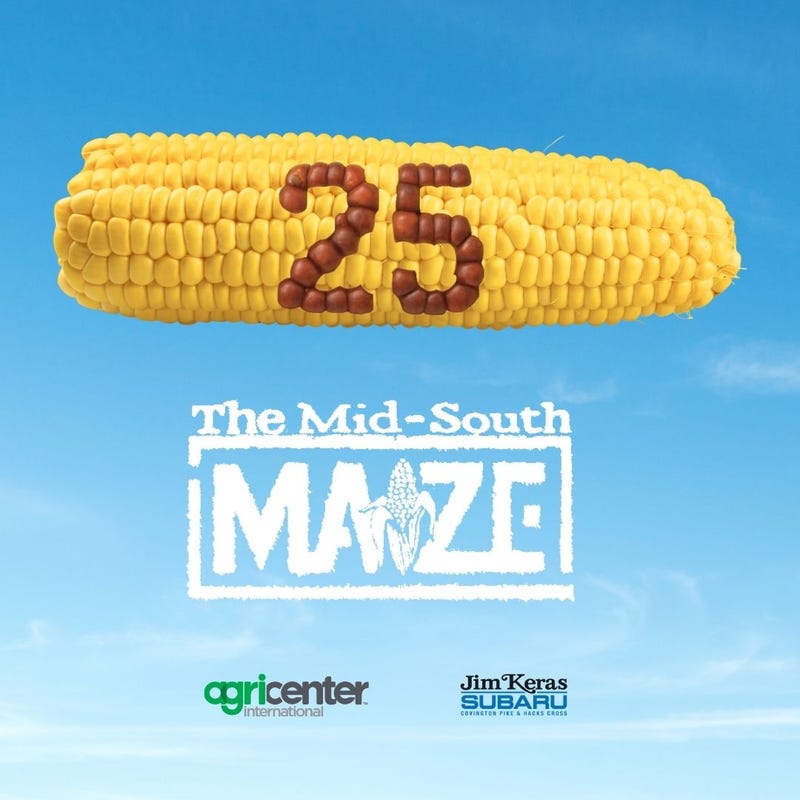Mid-South Maze