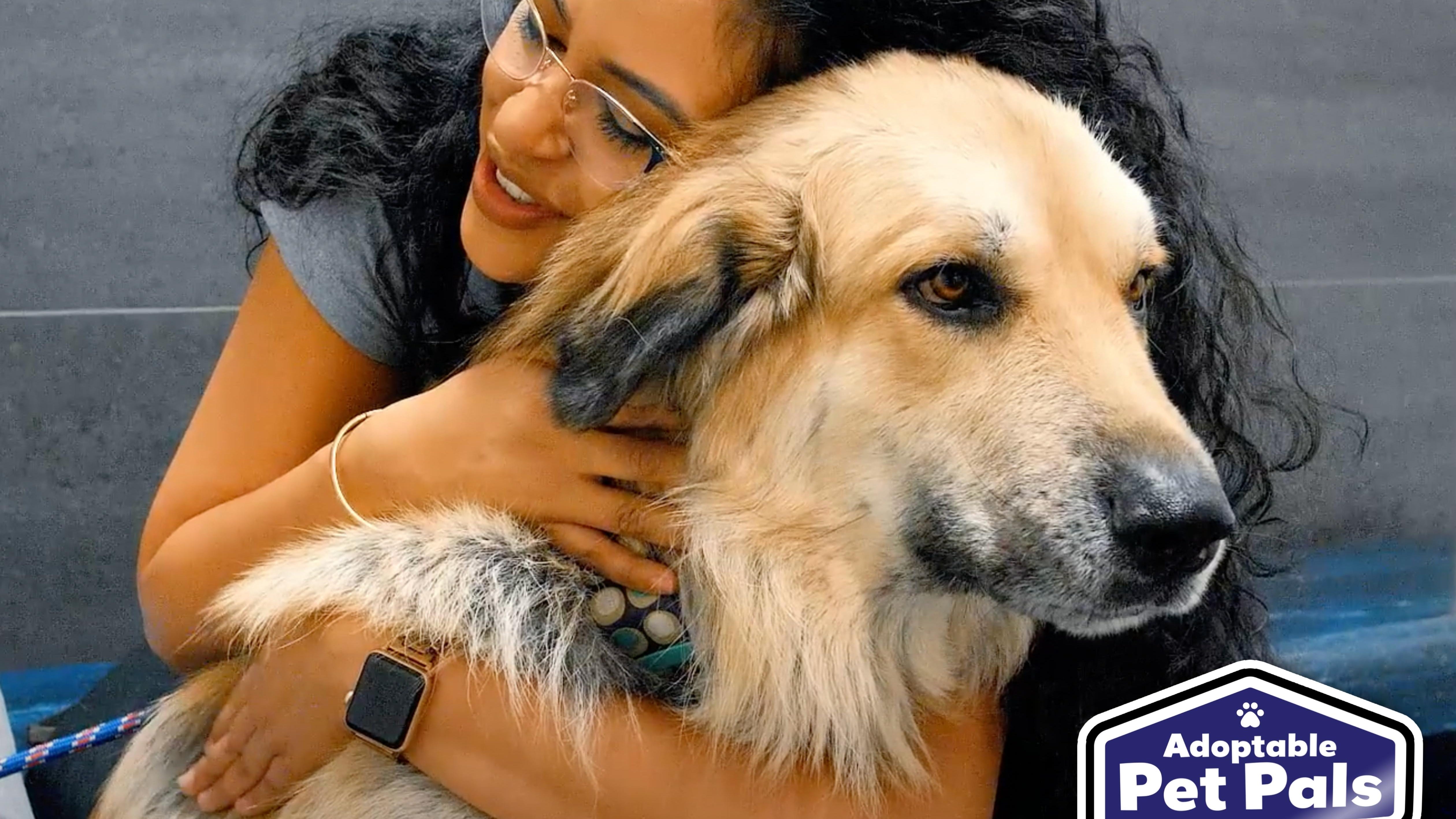 Adoptable Pet Pals: Meet Coco!