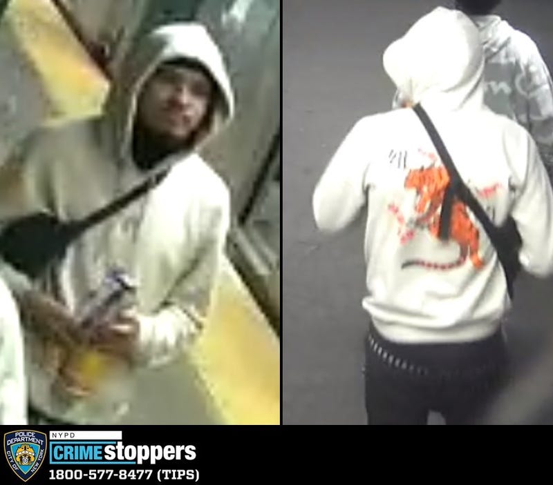 suspect sought