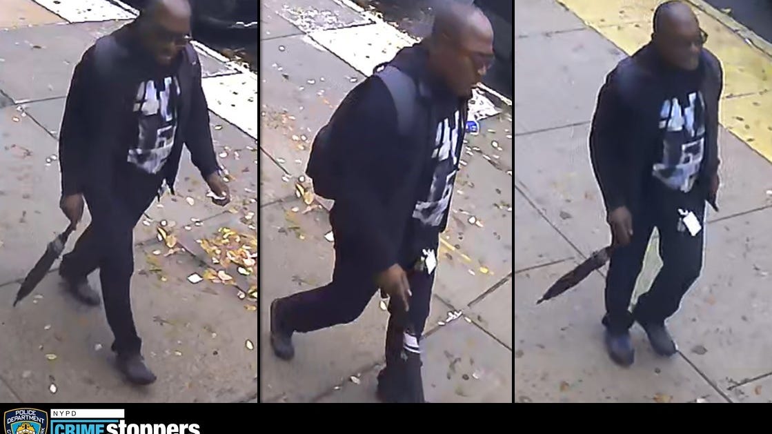 SEEN HIM? Umbrella-wielding man demands dog from Brooklyn woman, 95