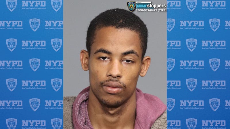 Deikel Alcantara, 21, was identified as a suspect in the theft on Thursday, one day before his arrest.