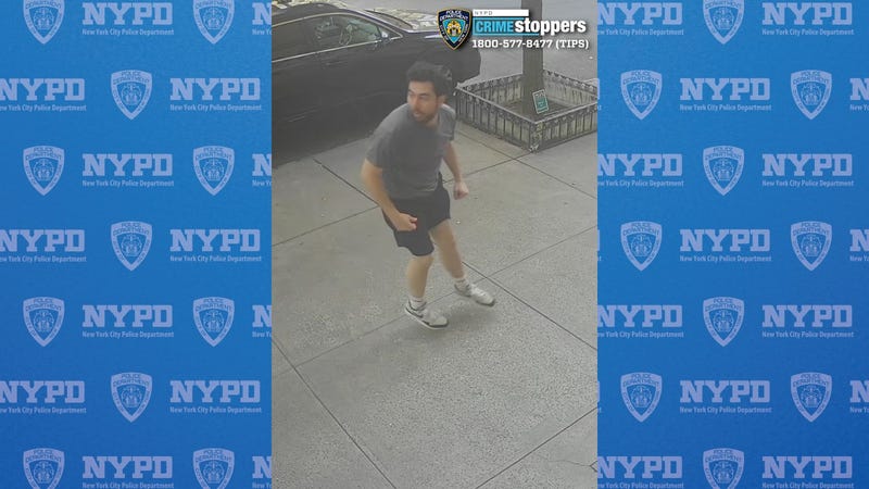 Person of interest in custody after a tourist was slashed on the Upper West Side Wednesday morning.