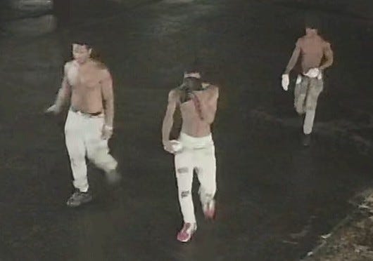 Authorities in Metro Detroit are on the lookout for thieves behind an alleged 'smash and grab' scheme that saw dozens of handguns and rifles stolen from two businesses in the last 48 hours.